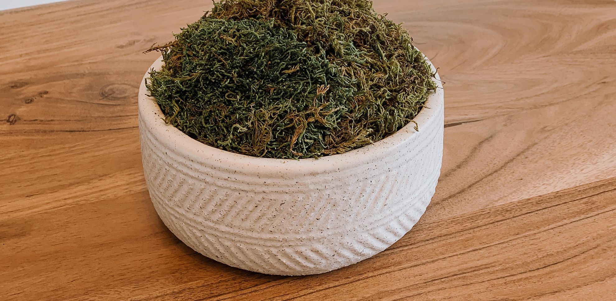 Moss Bowl DIY - Featured image
